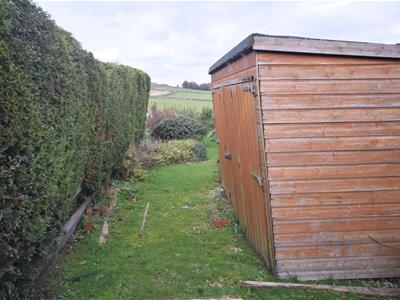 Picture 14